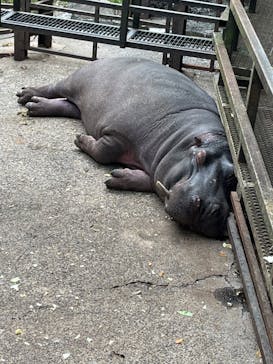 長崎バイオパークに投稿された画像（2022/5/4）