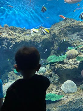 アクアワールド茨城県大洗水族館に投稿された画像（2022/5/4）