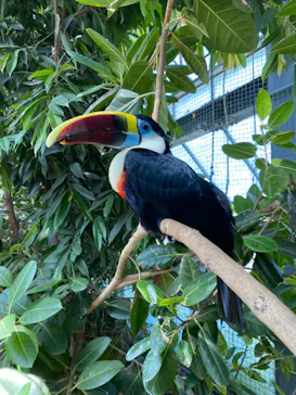 神戸どうぶつ王国に投稿された画像（2022/5/4）