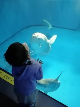 アクアワールド茨城県大洗水族館に投稿された画像（2022/5/4）