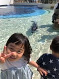大分マリーンパレス水族館 「うみたまご」に投稿された画像（2022/5/4）