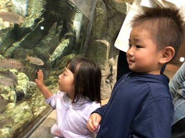 大分マリーンパレス水族館 「うみたまご」に投稿された画像（2022/5/4）