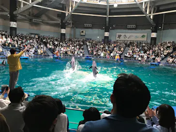 マクセル アクアパーク品川に投稿された画像（2022/5/4）