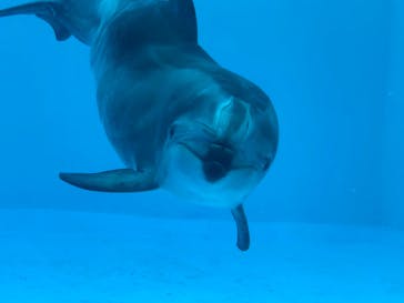 名古屋港水族館に投稿された画像（2022/5/4）