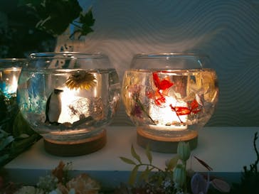 ずこうしつ〜sugamo〜に投稿された画像（2022/5/4）