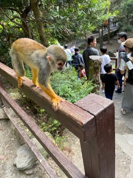 長崎バイオパークに投稿された画像（2022/5/4）