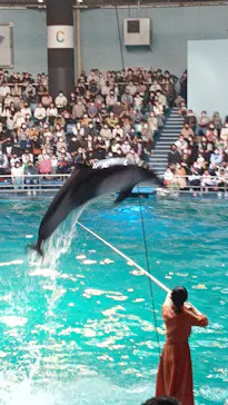 マクセル アクアパーク品川に投稿された画像（2022/5/4）