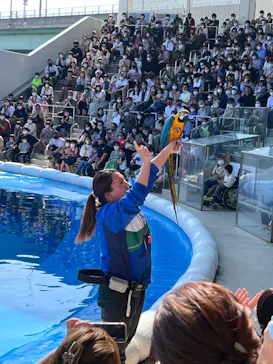 仙台うみの杜水族館に投稿された画像（2022/5/4）