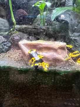 仙台うみの杜水族館に投稿された画像（2022/5/4）
