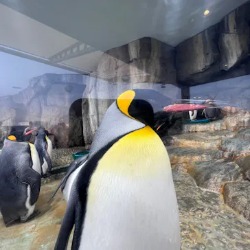 仙台うみの杜水族館に投稿された画像（2022/5/4）