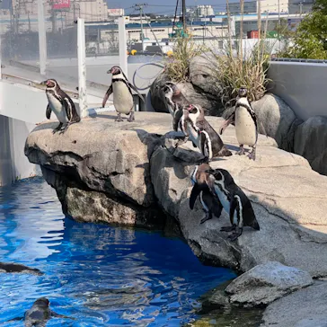仙台うみの杜水族館に投稿された画像（2022/5/4）