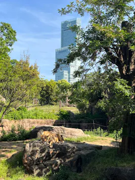 天王寺動物園に投稿された画像（2022/5/4）