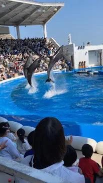 仙台うみの杜水族館に投稿された画像（2022/5/4）