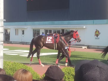 園田競馬場に投稿された画像（2022/5/4）