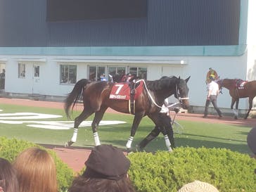 園田競馬場に投稿された画像（2022/5/4）