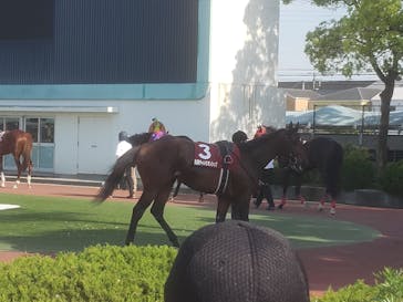 園田競馬場に投稿された画像（2022/5/4）