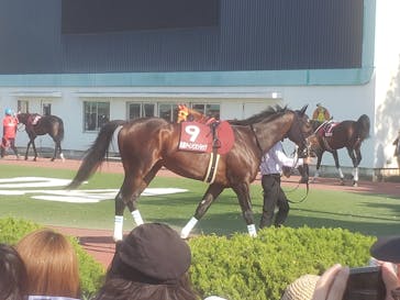 園田競馬場に投稿された画像（2022/5/4）