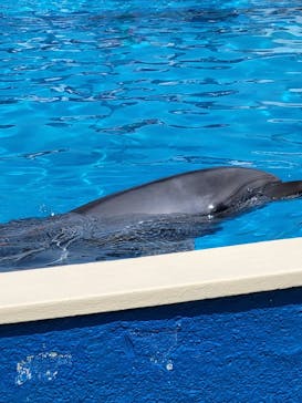 南知多ビーチランド＆南知多おもちゃ王国に投稿された画像（2022/5/4）