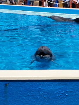 南知多ビーチランド＆南知多おもちゃ王国に投稿された画像（2022/5/4）