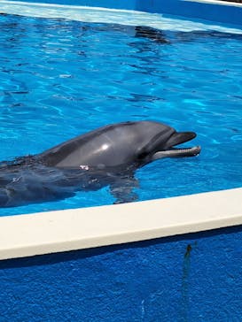 南知多ビーチランド＆南知多おもちゃ王国に投稿された画像（2022/5/4）