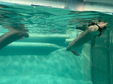 マリンワールド海の中道に投稿された画像（2022/5/4）