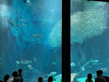 マリンワールド海の中道に投稿された画像（2022/5/4）