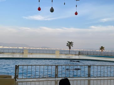 マリンワールド海の中道に投稿された画像（2022/5/4）