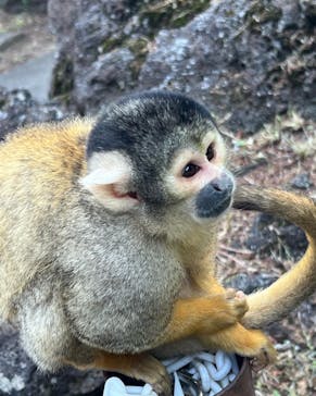 伊豆シャボテン動物公園に投稿された画像（2022/5/4）