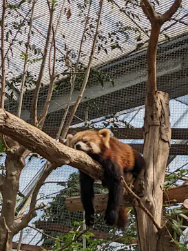 神戸どうぶつ王国に投稿された画像（2022/5/4）