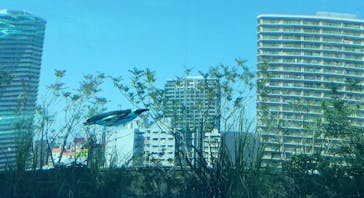 サンシャイン水族館に投稿された画像（2022/5/4）