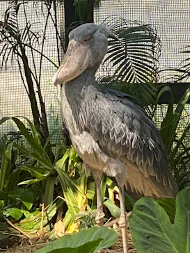 神戸どうぶつ王国に投稿された画像（2022/5/4）