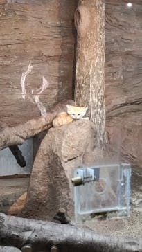 那須どうぶつ王国に投稿された画像（2022/5/4）