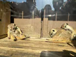 よこはま動物園ズーラシアに投稿された画像（2022/5/4）