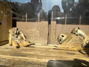 よこはま動物園ズーラシアに投稿された画像（2022/5/4）