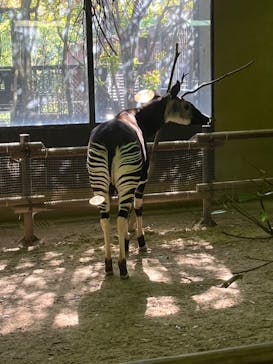 よこはま動物園ズーラシアに投稿された画像（2022/5/4）