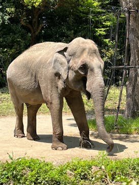 よこはま動物園ズーラシアに投稿された画像（2022/5/4）