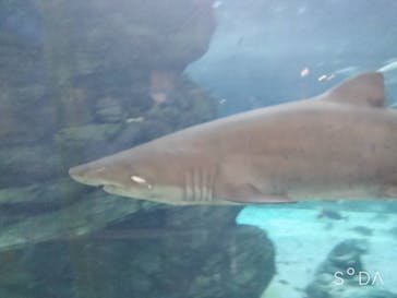 株式会社Gに投稿された画像（2022/5/4）