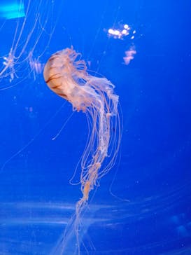 株式会社Gに投稿された画像（2022/5/4）