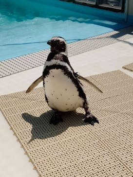 株式会社Gに投稿された画像（2022/5/4）