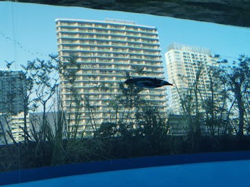 サンシャイン水族館に投稿された画像（2022/5/4）