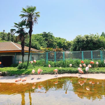 東武動物公園に投稿された画像（2022/5/4）