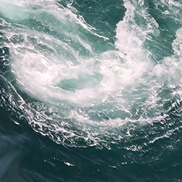 徳島県立 渦の道に投稿された画像（2022/5/4）