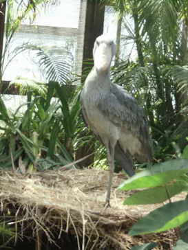 神戸どうぶつ王国に投稿された画像（2022/5/4）