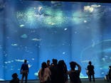 アクアワールド茨城県大洗水族館に投稿された画像（2022/5/4）