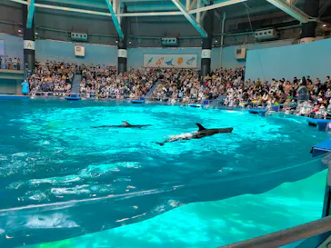 マクセル アクアパーク品川に投稿された画像（2022/5/4）