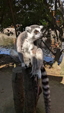 神戸どうぶつ王国に投稿された画像（2022/5/4）