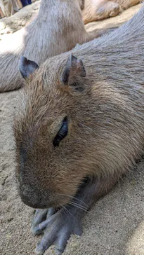 神戸どうぶつ王国に投稿された画像（2022/5/4）
