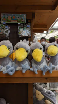 神戸どうぶつ王国に投稿された画像（2022/5/4）