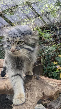 神戸どうぶつ王国に投稿された画像（2022/5/4）