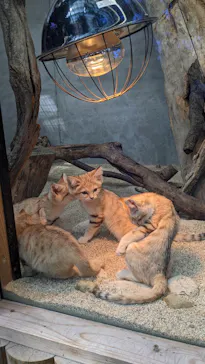 神戸どうぶつ王国に投稿された画像（2022/5/4）